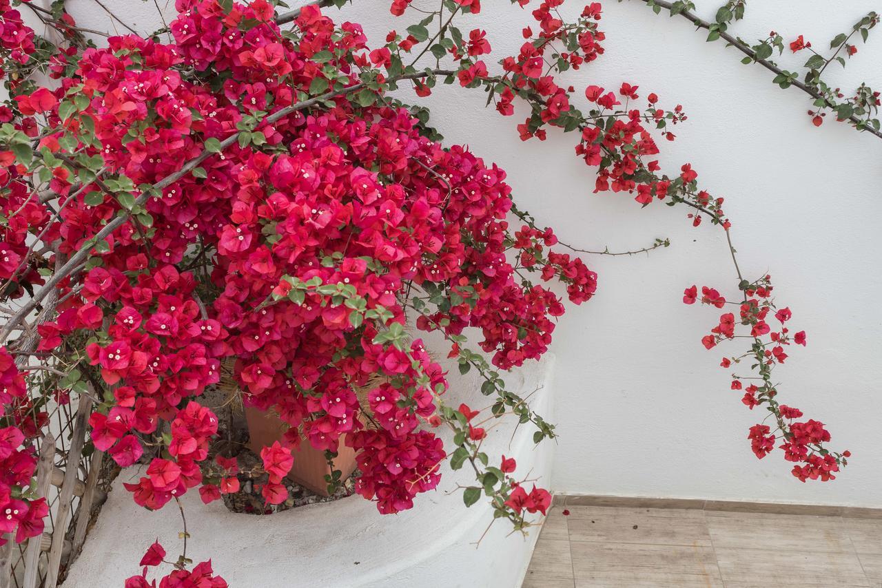 Depis Suites Naxos City Buitenkant foto